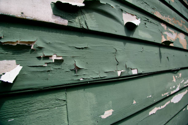 Best Moving and Downsizing Cleanouts  in Hillburn, NY